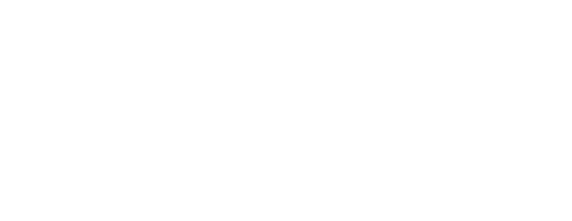 logo for insight veterinary wellness & emergency center