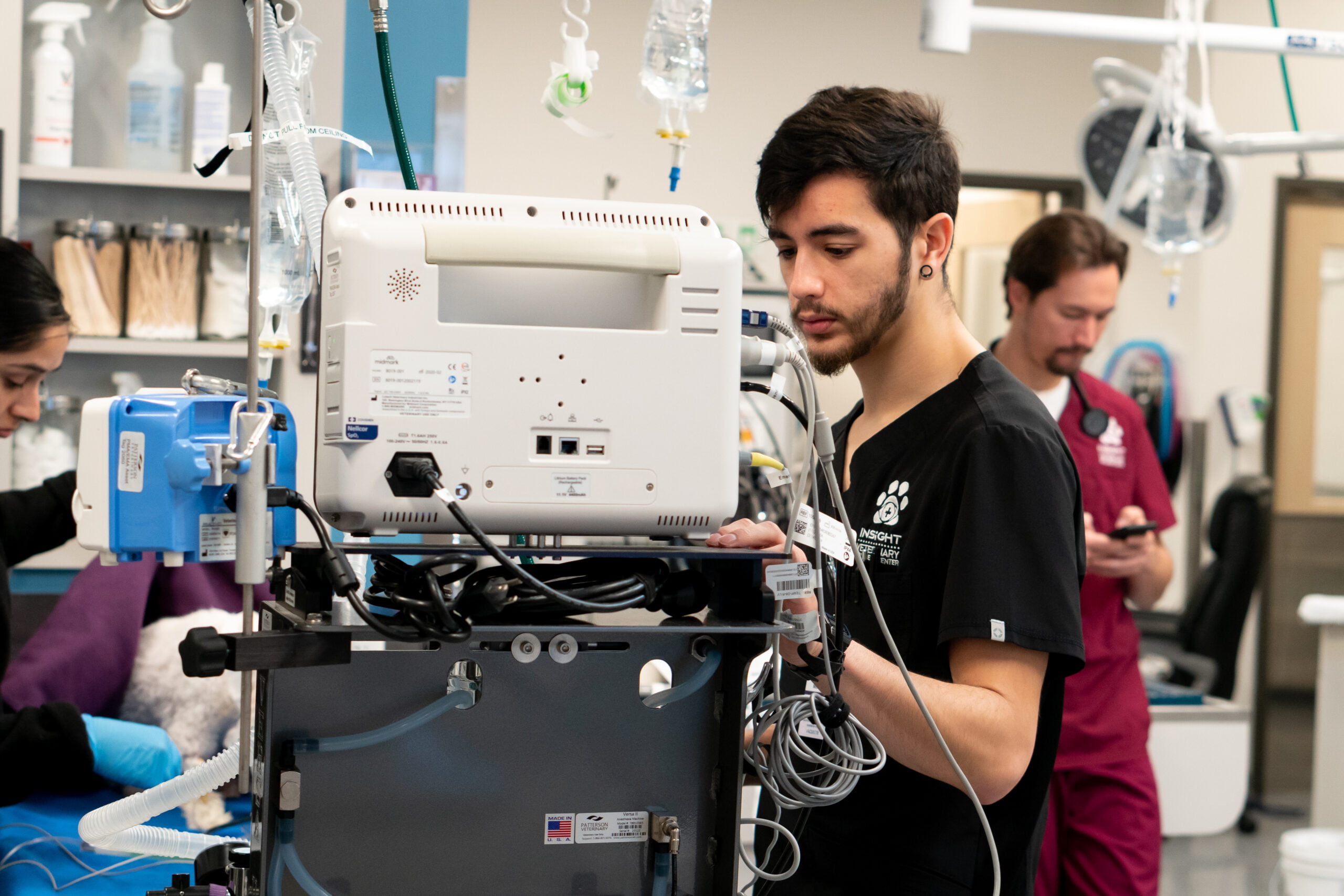 Spay and Neuter in El Dorado Hills, CA