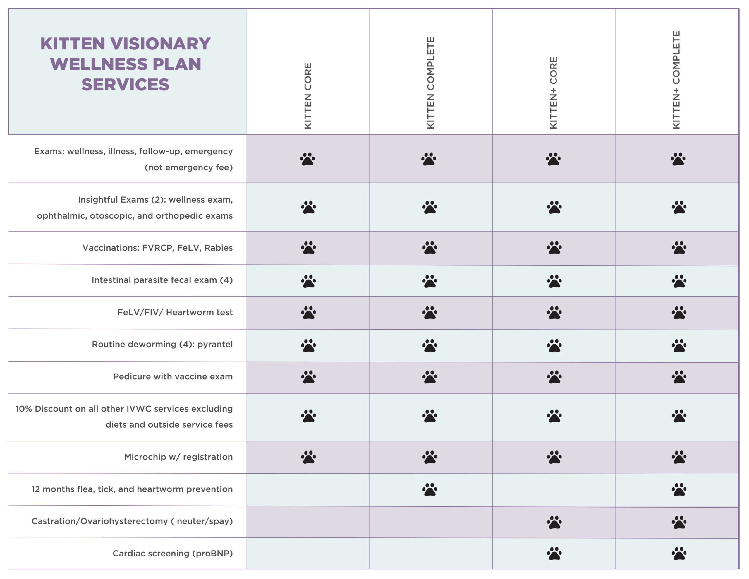 Kitten Plans - Insight Veterinary Wellness Center