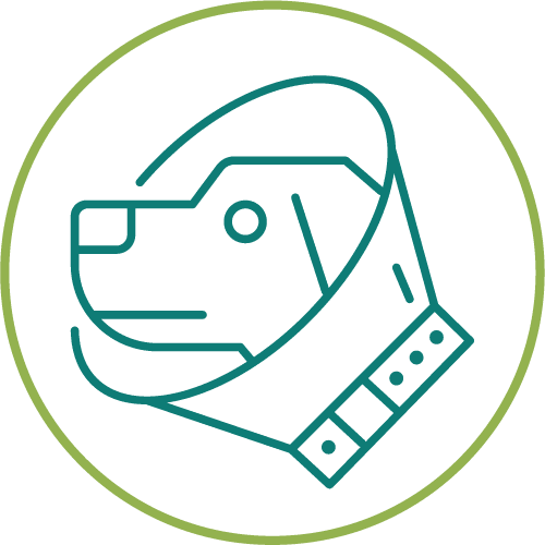 dog in cone icon in circle