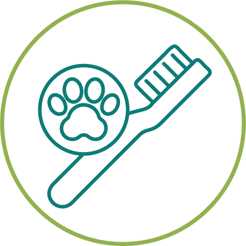 drawing of a toothbrush with a paw print in a light green circle