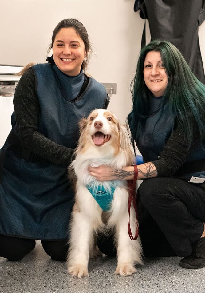two female vet staff kneeling with dog in between them