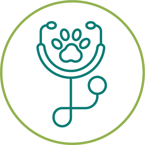 drawing of a stethoscope with a paw print in a light green circle